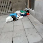 Alojamiento Central 2